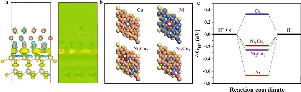 周顺桂&熊宇杰，最新Nature子刊！