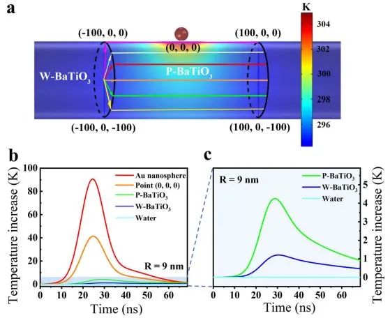 Nature子刊：Au的等离子体局部加热，加速BaTiO3纳米粒子催化制氢