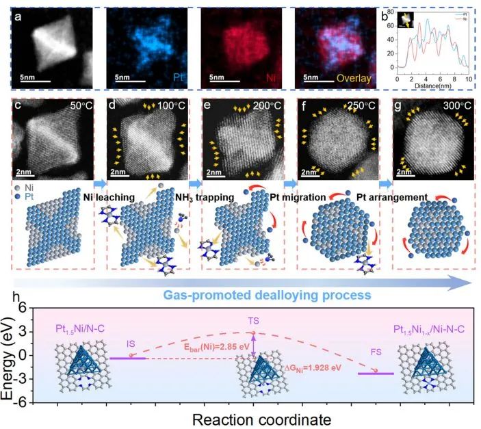 催化日报||顶刊集锦：EES/JACS/AFM/Nano Energy/ACS Catal/Small等