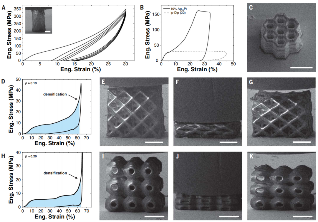 3D打印，登顶Science！