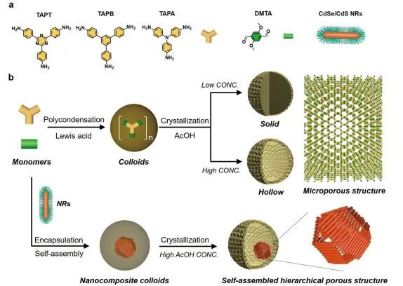 催化顶刊集锦：Nat. Commun.、JACS、AFM、ACS Catal.、ACS Nano、Small等