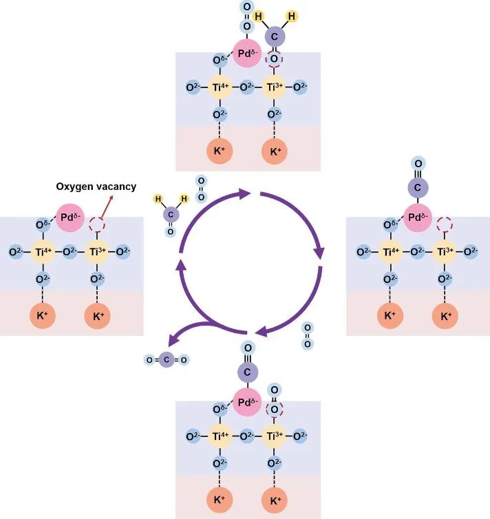 催化顶刊集锦：JACS、Nature子刊、AFM、ACS Catalysis、Adv. Sci.、Small等