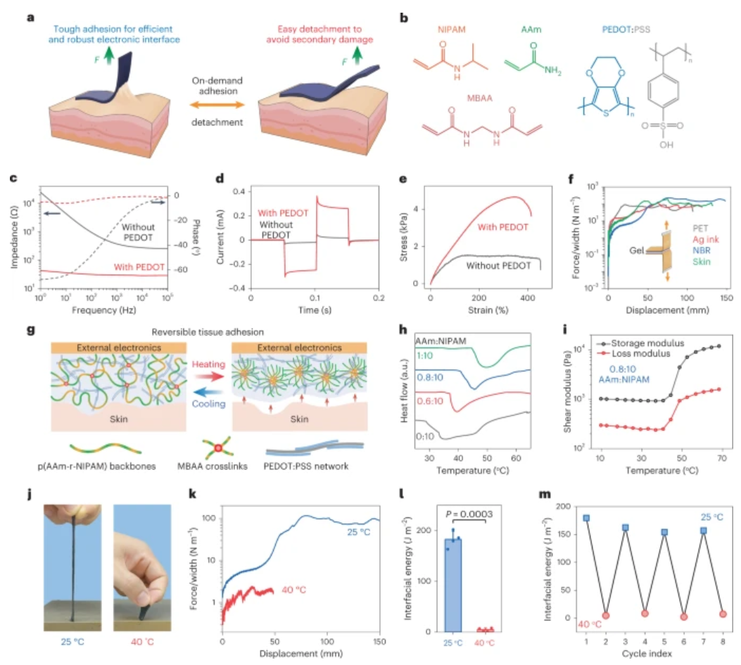 鲍哲南教授等人，最新Nature子刊！