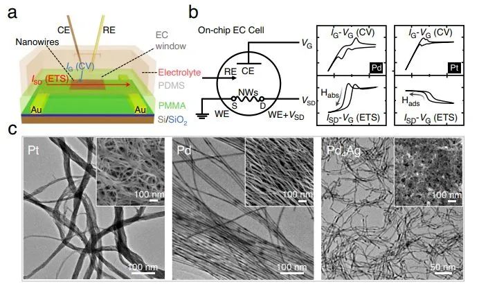 催化顶刊集锦：Nature子刊、AFM、ACS Energy Letters、Nano Letters、Small等