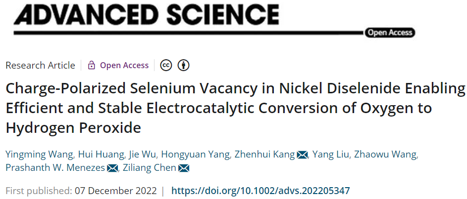 ​苏大/柏林工大Adv. Sci.：NiSe2-Vse高效的电催化氧气转化为过氧化氢