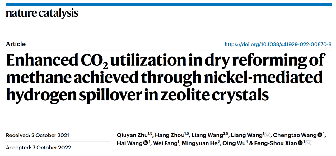 浙江大学肖丰收/王亮团队，再发Nature Catalysis！