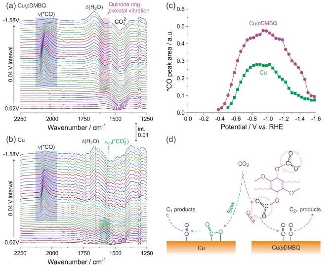 催化顶刊集锦：Angew.、Nat. Commun.、ACS Catalysis、ACS Energy Letters等