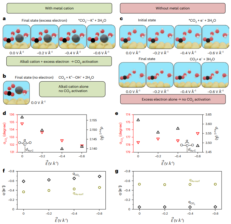 争议连连！这一话题连发5篇Nature Catalysis！