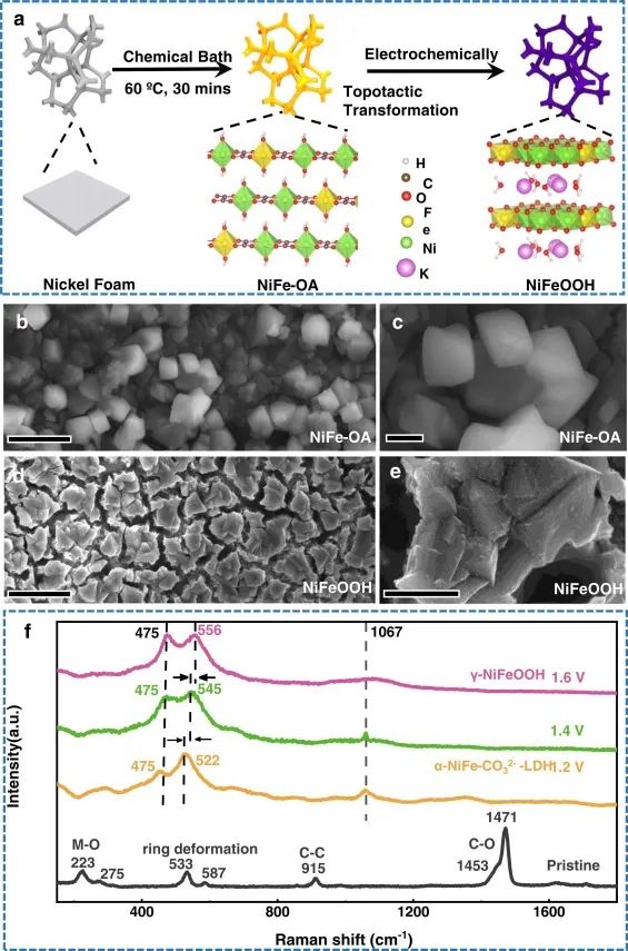 催化日报||顶刊集锦：EES/JACS/AFM/Nano Energy/ACS Catal/Small等