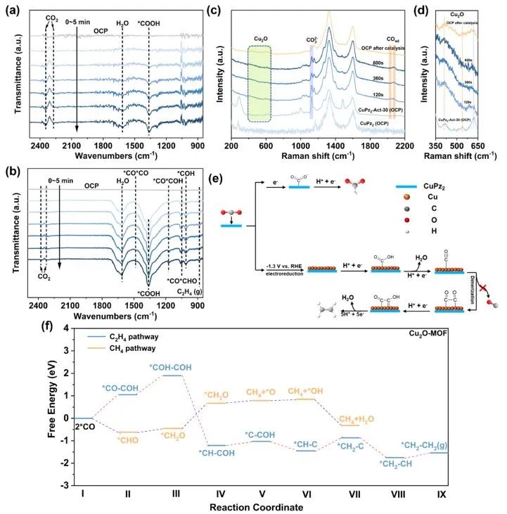 催化日报||顶刊集锦：EES/JACS/AFM/Nano Energy/ACS Catal/Small等