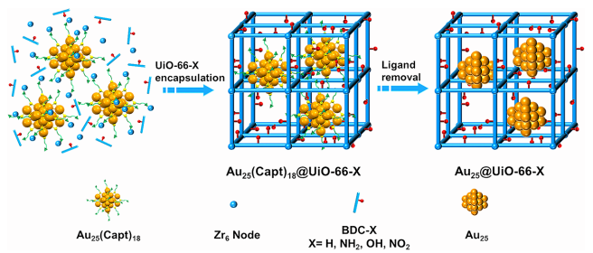 他，发表第21篇JACS！