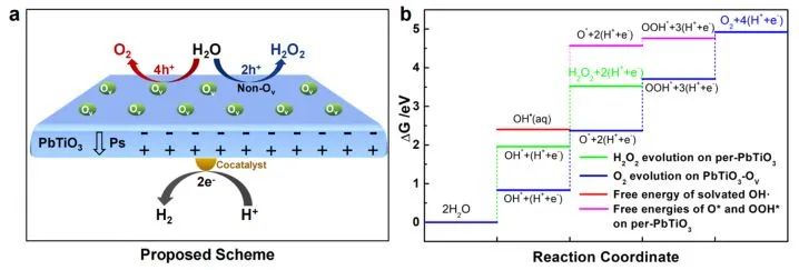 催化顶刊集锦：JACS、Nature子刊、AFM、ACS Catalysis、Adv. Sci.、Small等