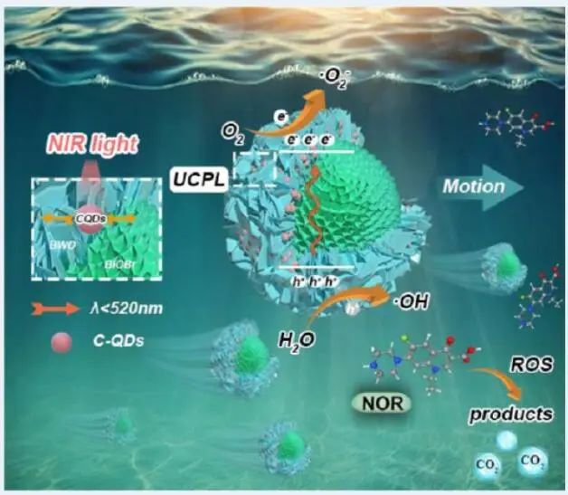 ​哈工大袁远ACS Catalysis：CQD修饰BiOBr/Bi2WO6光催化微电机用于环境修复及DFT计算