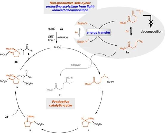 戚孝天/沈晓/吴骊珠Nature子刊：非产能转移光催化作用下烯烃系链酰基硅烷和烯丙基砜的级联环化反应