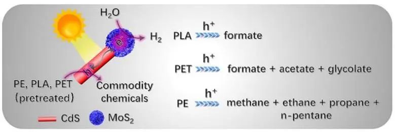 邱博诚ACS Catalysis：变废为宝：具有MoS2尖端的CdS将塑料光重整为增值化学品和氢气