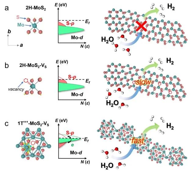 催化顶刊集锦：Nature子刊、AM、AEM、ACS Catalysis、Nano Energy等成果