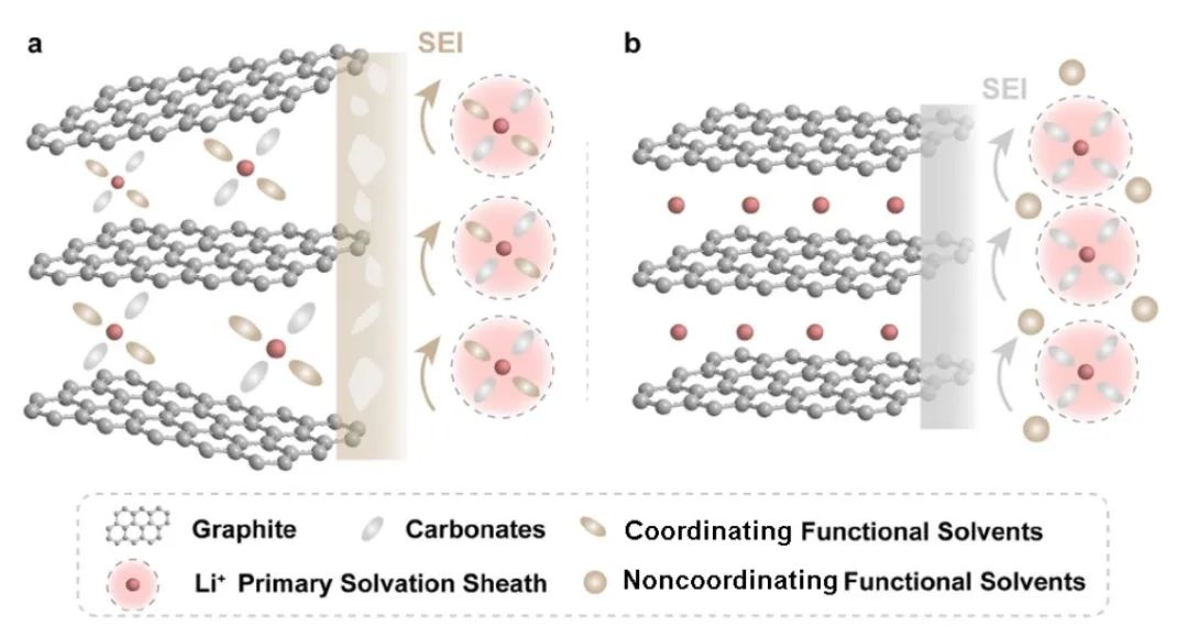 郭玉国/辛森JACS：避免溶剂共嵌入，非配位阻燃共溶剂助力安全锂电！