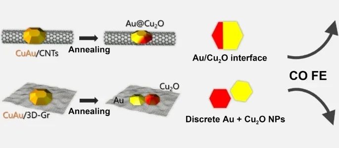 催化顶刊集锦：Angew.、Nature子刊、AFM、Small、Nano Res.等成果