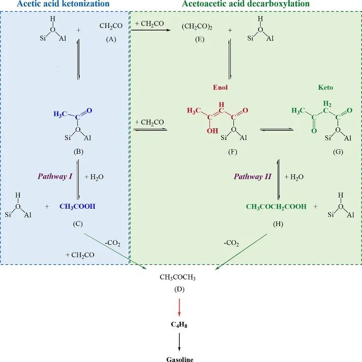 包信和&潘秀莲&侯广进JACS：研究H-SAPO-11催化烯酮转化汽油