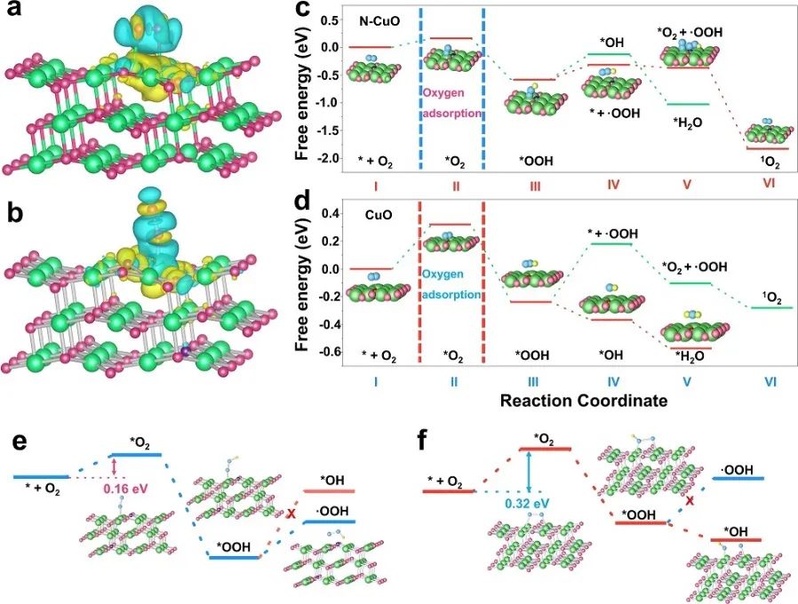 Nature子刊：N-CuO电催化O2产生1O2以降解有机污染物