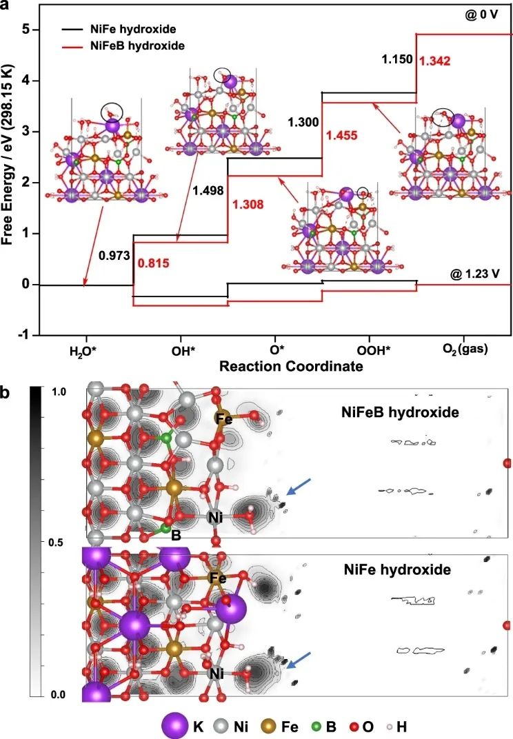 高传博&程涛Nature子刊：NiFeB氢氧化物纳米片实现高效OER