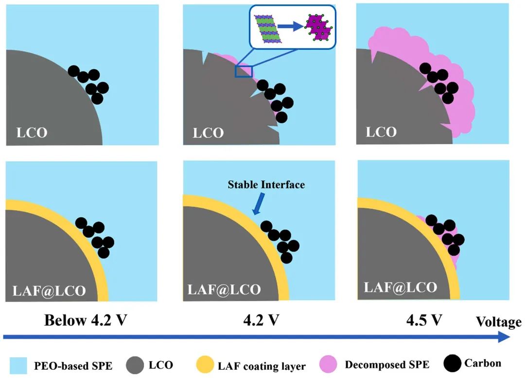 ​潘锋/宋永利/杨卢奕NML：洞察高压全固态锂电池的界面退化