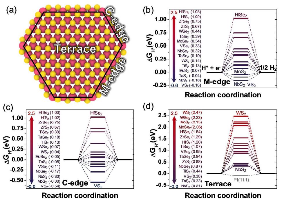 VASP电池计算专题培训：Li离子电池/燃料电池/电位/容量/离子扩散/析氢反应/氧还原反应/自由能/过电位