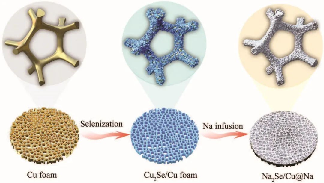 ​何传新/余彦AFM：多孔骨架协同硒化界面实现稳定钠/钾负极！