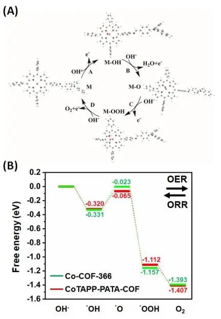 曾高峰&徐庆Angew：构建具有高ORR/OER活性的COFs