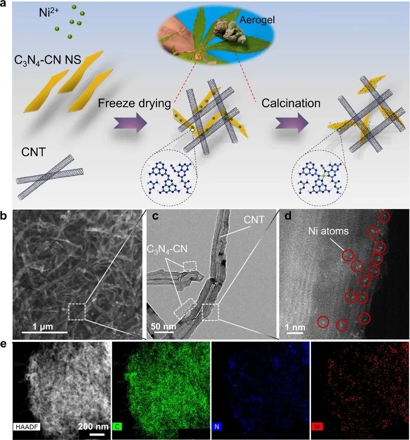 中南刘敏教授等Nature子刊：Ni@C3N4-CN助力CO2电还原为CO