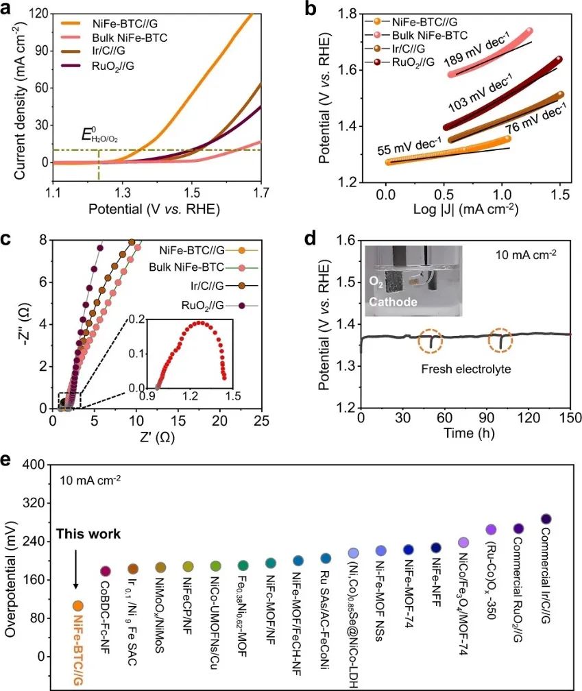 侯阳/张涛/肖建平，最新Nature子刊！