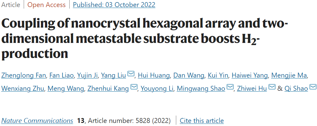 苏大/马普所Nature子刊：二维亚稳态基底耦合六方纳米晶阵列促进析氢