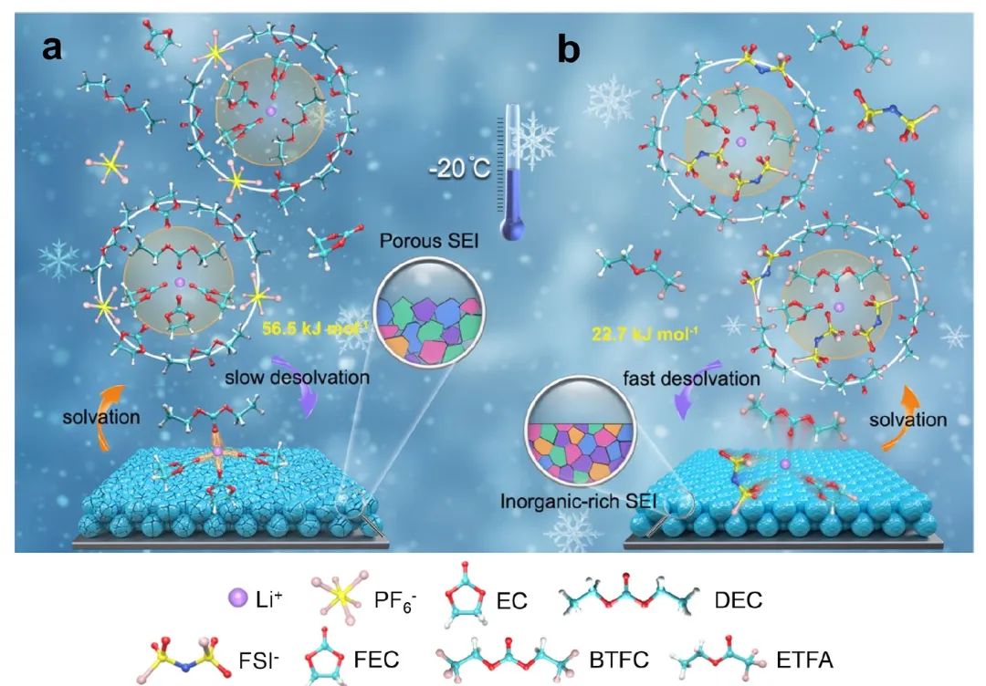 ​郑洪河/罗巍ACS Energy Letters：电解液设计助力-20℃低温硅基电池