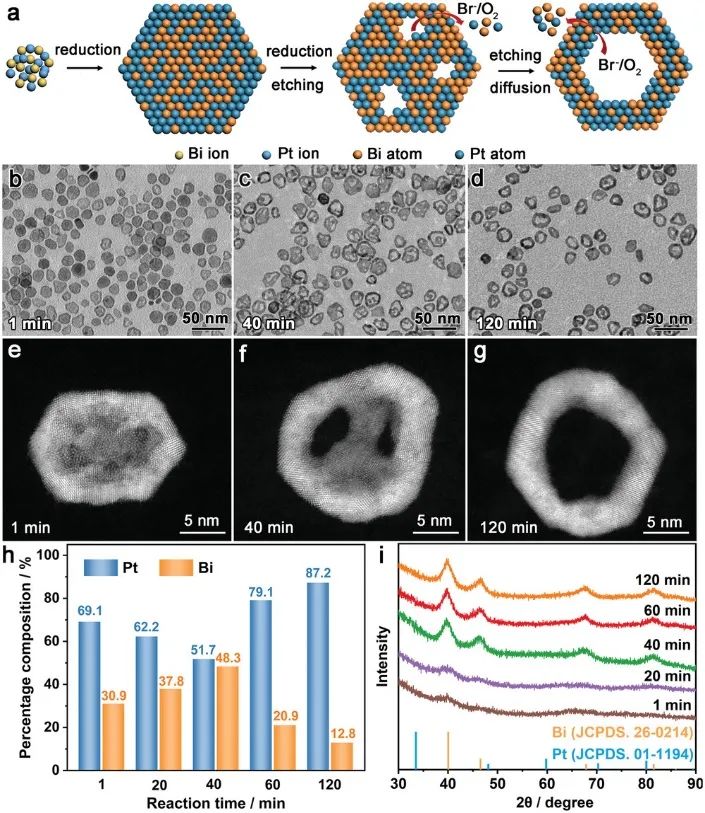 催化顶刊集锦：Angew.、Nature子刊、AFM、Small、Nano Res.等成果