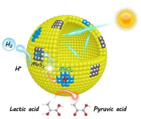Angew：CdS/MoO2/MoS2催化剂光催化制氢和丙酮酸合成