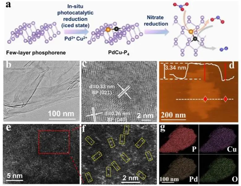 催化顶刊集锦：Nat. Commun.、Angew.、Nano Letters、AFM、ACS Nano等最新成果！