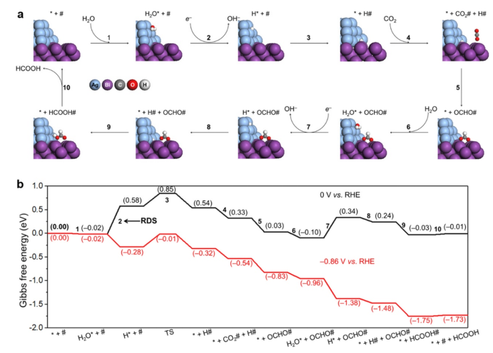 ​段昊泓/栗振华ACS Catalysis：设计制氢位点以促进电催化CO2还原为甲酸盐