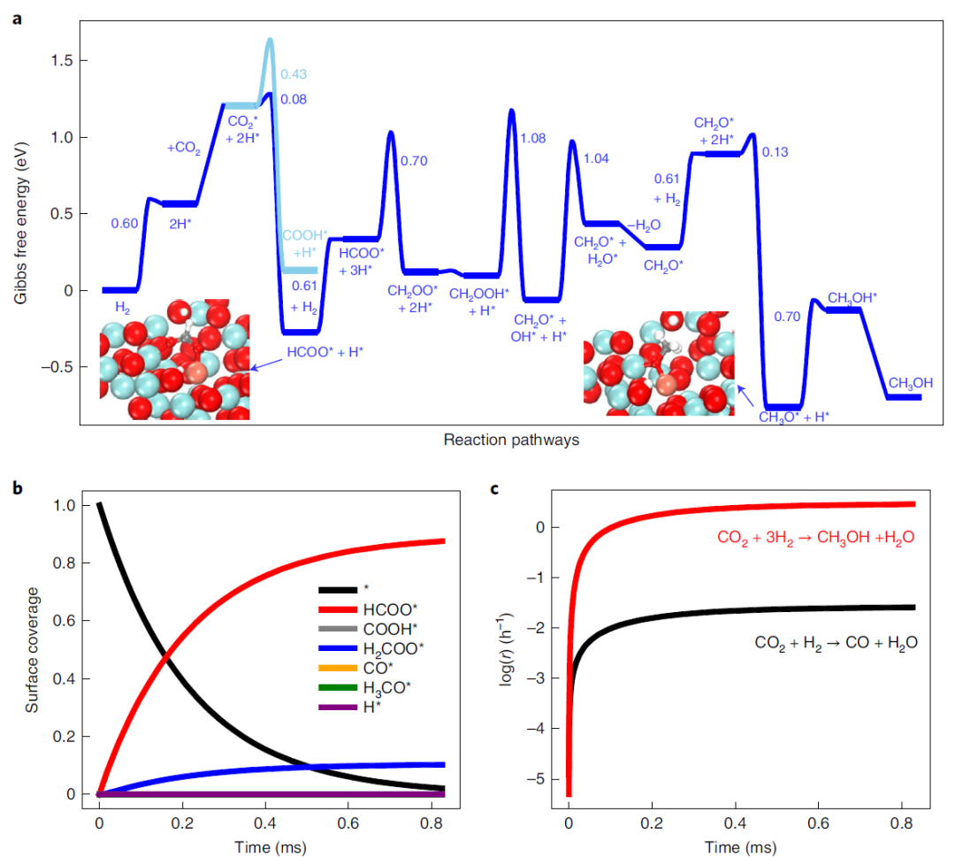 今日重磅！谭理&刘智攀Nature Catalysis：单原子催化！