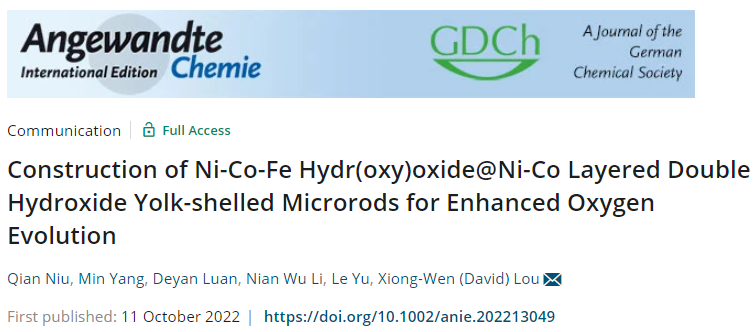 于乐/楼雄文最新Angew.：玩转MOF，设计蛋黄-壳结构OER电催化剂！