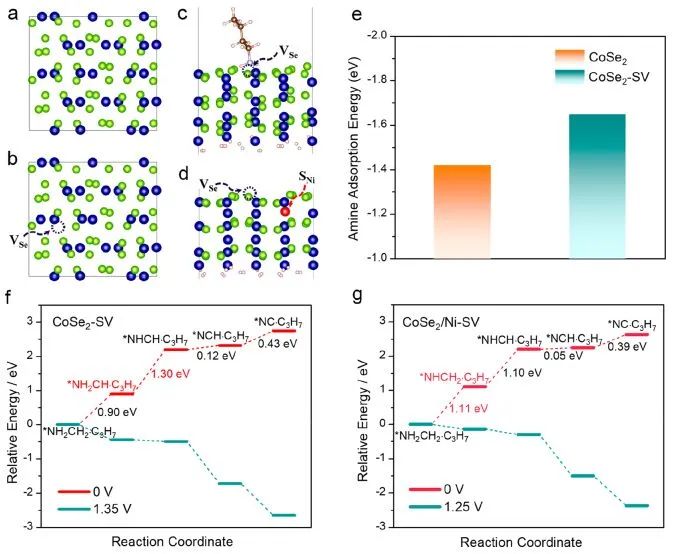 ​郭少军/许审镇ACS Catalysis：Se空位加上Ni取代，助力CoSe2高效电合成腈并产生氢气