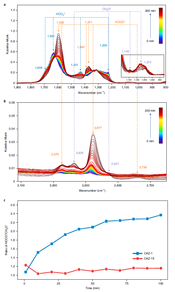 今日重磅！谭理&刘智攀Nature Catalysis：单原子催化！