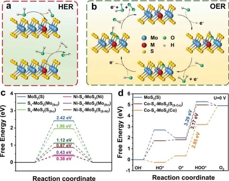 最新顶刊集锦：Nature子刊、JACS、AFM、ACS Nano、ACS Catal.、Small等