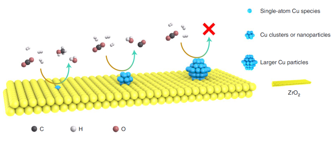 今日重磅！谭理&刘智攀Nature Catalysis：单原子催化！