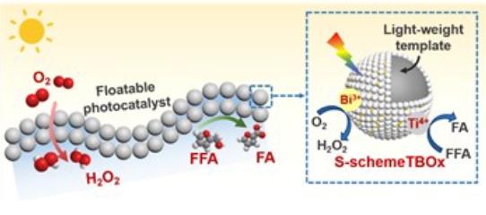 顶刊成果集锦：JACS、Angew.、Nature子刊、ACS Catalysis、ACS Nano等！