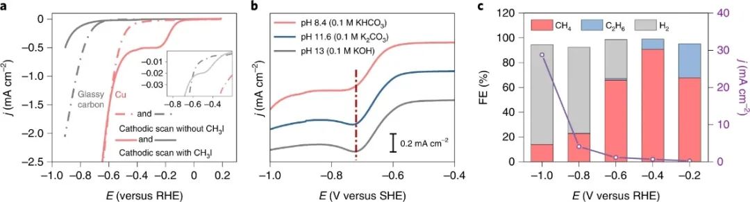 杨培东，最新Nature Catalysis！