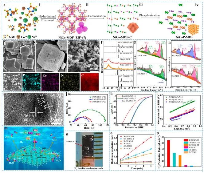 八篇催化顶刊：Nature子刊、EES、AM、AFM、Nano Letters、ACS Nano等成果集锦！