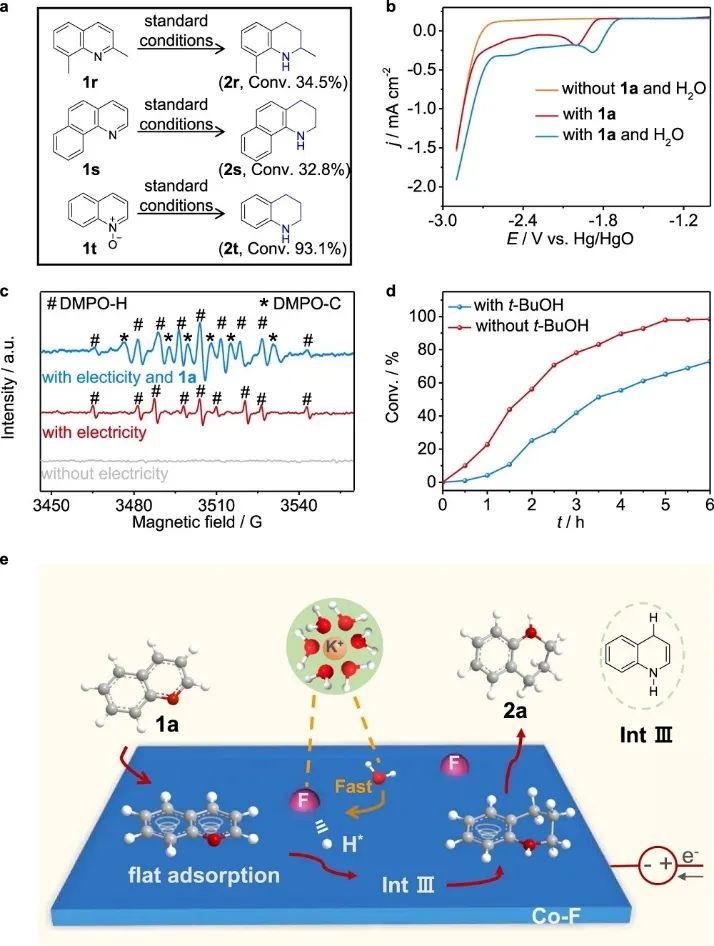 ​张兵/刘翠波Nature子刊：氟改性钴催化剂助力喹啉与水的电催化加氢