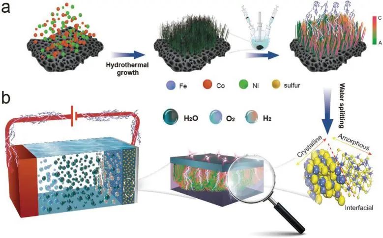 ​川大/山大Adv. Sci.：结晶/非晶界面起大作用，加速FeCo(NiS2)4-C/A的水电解动力学