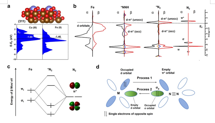 ​杨贵东ACS Catalysis: 构建低氧化态活性位点促进光催化固氮