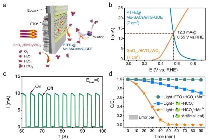 最新顶刊集锦：Nature子刊、JACS、AFM、ACS Nano、ACS Catal.、Small等